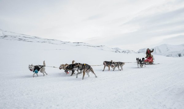 Peut-on trouver une maison de vacances en Norvège avec des excursions en traîneau à chiens et des cours de sculpture sur glace?