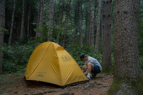 Quels sont les conseils pour un camping en région de forêts de bambous?