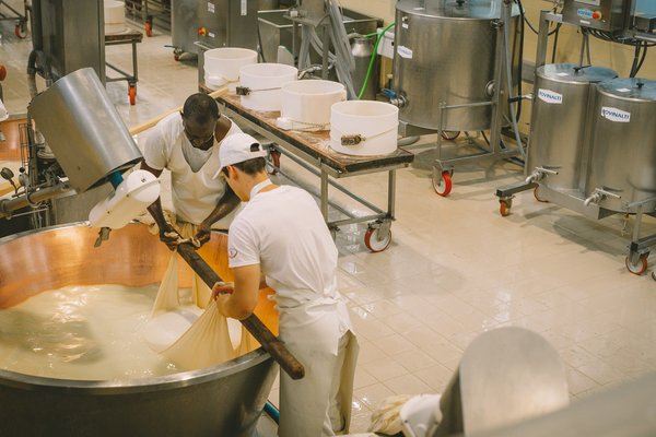 Quelles croisières offrent des ateliers de fabrication de fromage artisanal en Europe?